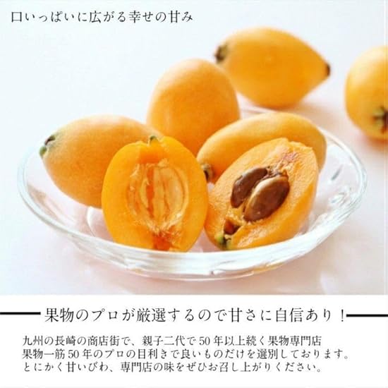 最高級長崎特選茂木びわ3L〜4L大玉15粒 御祝 お見舞 御供